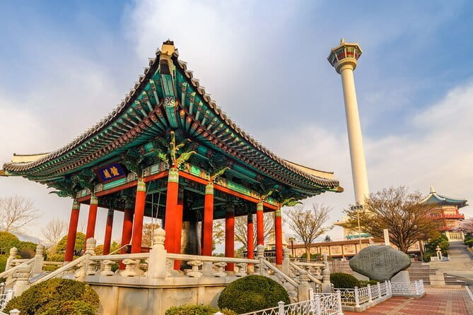 1-Day Busan Shore Excursion – City Highlights for Cruise Guests - Jagalchi Market, the seafood heart of the route