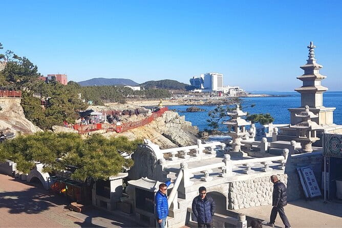 1 Day Private Busan Guided Tour - Why a private car makes Busan easier