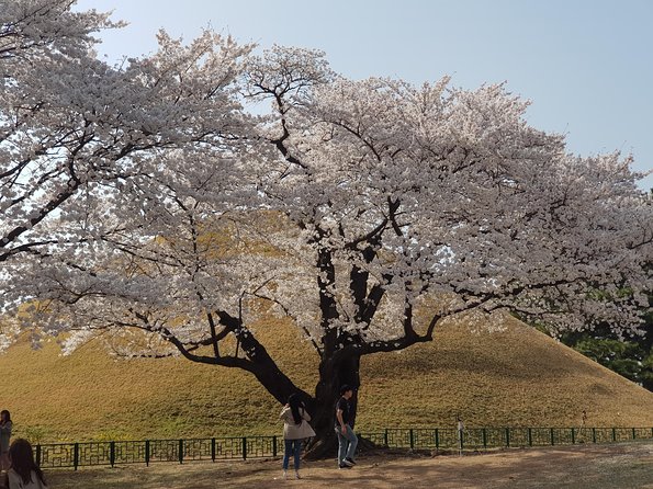 2 Days Gyeongju Private Tour from Seoul and Near Seoul - Why Gyeongju works well as a two-day escape from Seoul