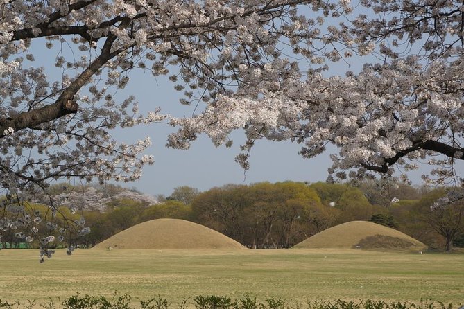 2 Days Gyeongju Private Tour from Seoul and Near Seoul - Cheomseongdae, an observatory built from 362 stones