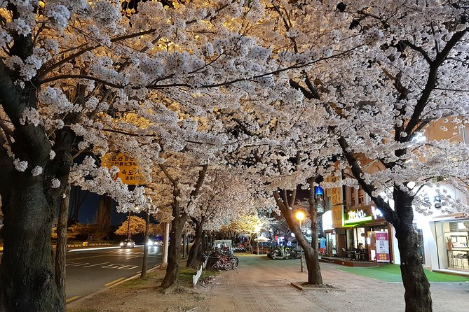 2 Days Gyeongju Private Tour from Seoul and Near Seoul - Seokguram, a mountain temple carved in granite
