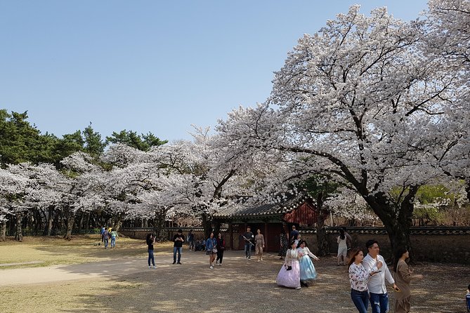 2 Days Gyeongju Private Tour from Seoul and Near Seoul - Bulguksa Temple and the finest Buddhist stop