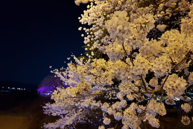 2 Days Gyeongju Private Tour from Seoul and Near Seoul - Wolji Pond and the palace after sunset