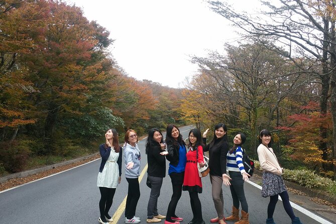 2 Days Jeju Island Private Taxi Tour (East/West of Jeju Island ) - What is included, and what needs checking