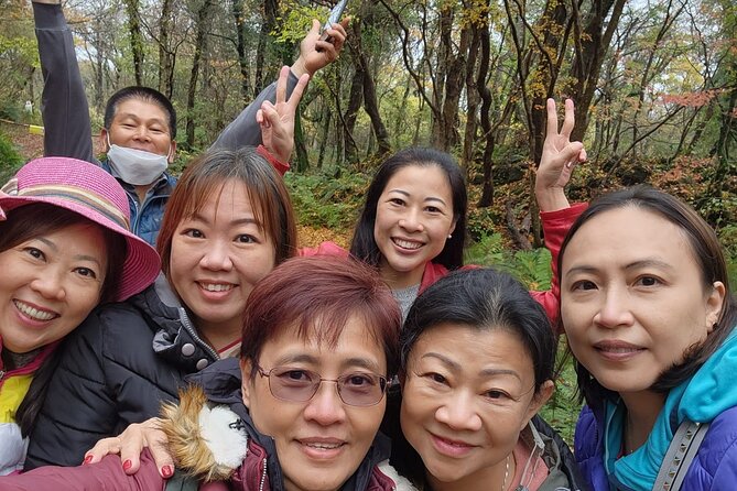 2 Days Jeju Private Jumbo Taxi Tour with Mr.Ko (Suhong) - Day 2: waterfalls, sea cliffs, tea, and windmills
