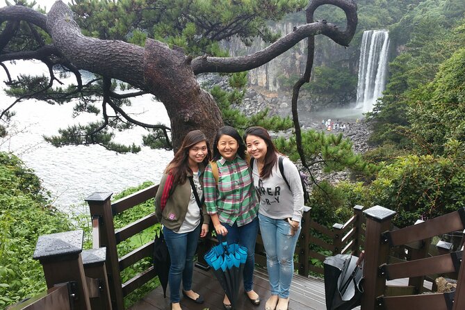 2 Days Private Taxi Tour - West and South of Jeju Island - Day two: Hallasan foothills and Seogwipo waterfalls