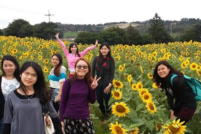 2 Days Private Taxi Tour - West and South of Jeju Island - Day one: beaches, caves, tea, and the southwest coast