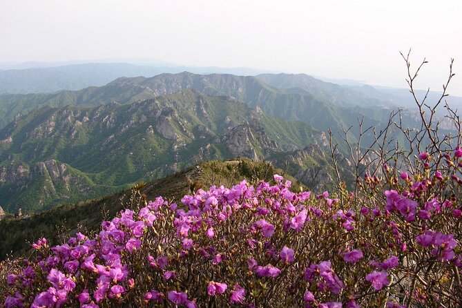 2 days Private Tour : Mt Seorak & Naksansa Temple & Nami Island 'from Seoul' - What the $598 price really buys you