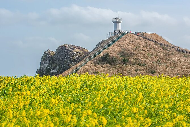 2026 Cherry Blossom East Day Tour in Jeju with UNESCO - Ilchul Land brings caves and gardens into the day