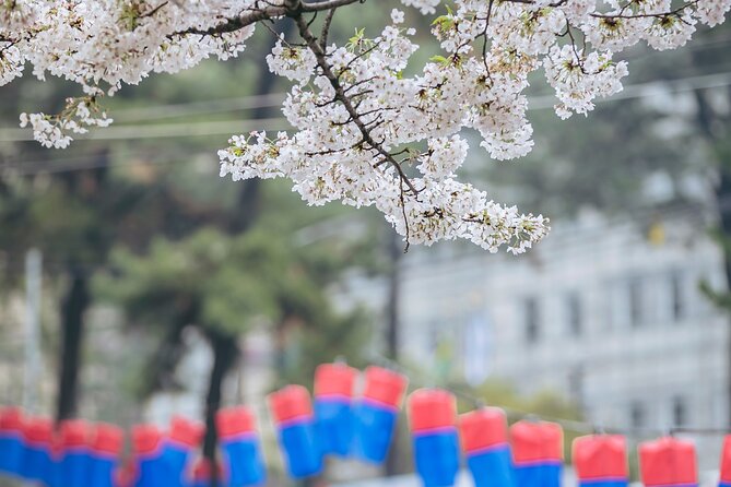 2026 Cherry Blossom East Day Tour in Jeju with UNESCO - Seopjikoji shows Jeju’s eastern coast