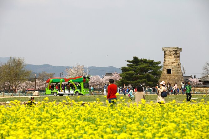 3-Day KORAIL Tour of Busan and Gyeongju from Seoul - Jagalchi Market gives you Busan at street level