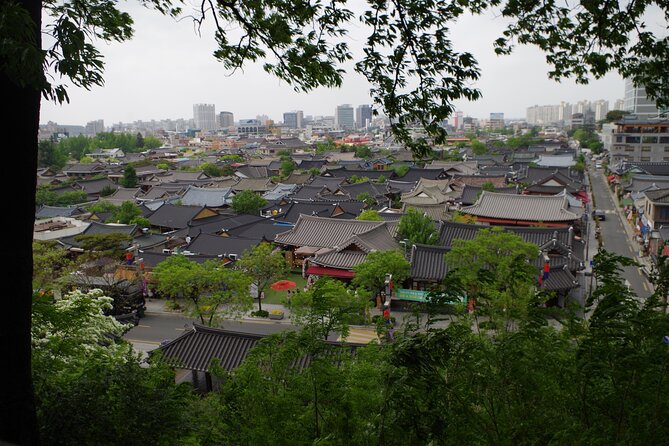 3-Day Korea Western course by K-shuttle Tour from Seoul to Busan - The guide can make or break the experience