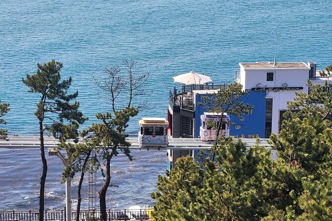 3 Days Busan and Gyeongju Private Tour - Should you book it?