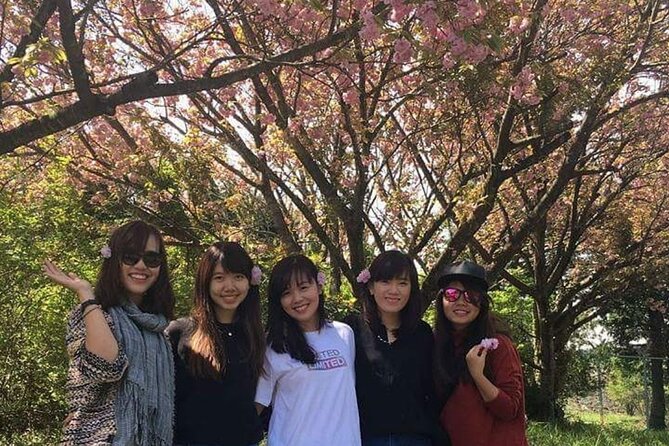 3 days Private Taxi Tour in Jeju Island - FAQ