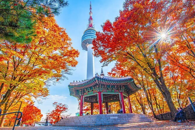 7 days Flexible Tour for Major Cities(Seoul,Busan,Gyeongju etc) - What the $2,000 price really buys