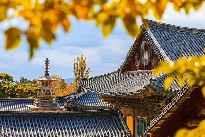 7 Highlights Gyeongju City One Day Small Group Tour from Busan - What makes this Gyeongju day trip worth considering