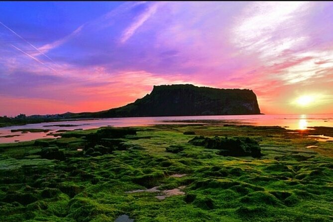 A comfortable wheelchair trip & east of Jeju - What the $330 price really covers