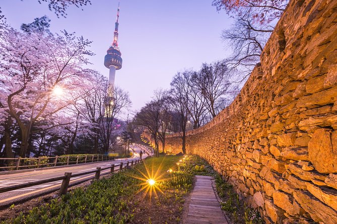 Afternoon Seoul: Hanok Vibes, Netflix Street Food & N Seoul Tower - Why the guides make or break the afternoon