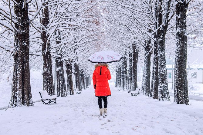 All Day Private Make your own plan tour to Nami Island and others - Sledding hills for a lively winter break
