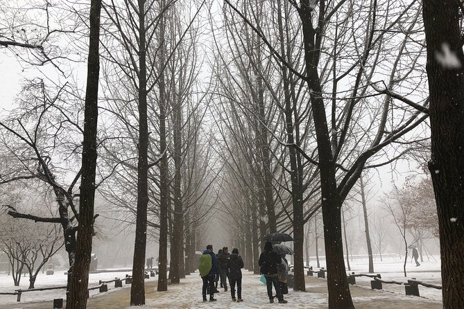 Alpaca, Nami, Eobi with Rail Bike or Strawberry - Nami Island, from drama fame to quiet winter walks