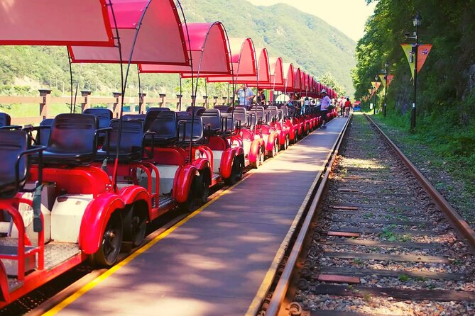 Alpaca World and Nami Island with Gangchon Rail Bike Tour - Why this day trip works from Seoul