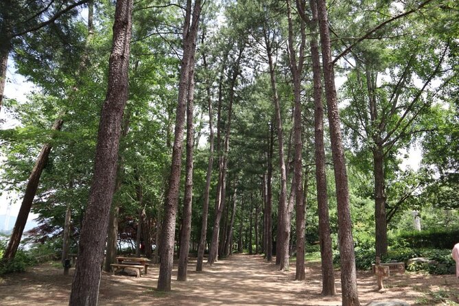 Alpaca World and Nami Island with Gangchon Rail Bike Tour - The value of $65.45 per person