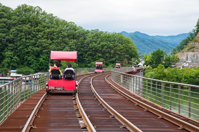 Alpaca World and Nami Island with Gangchon Rail Bike Tour - What the guide adds to a large group