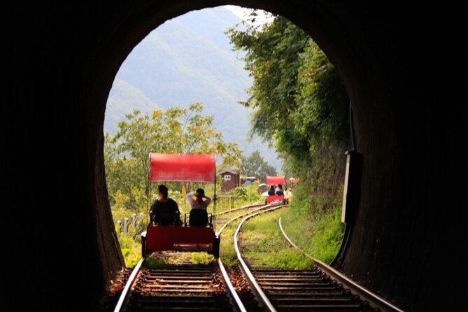 Alpaca World and Nami Island with Gangchon Rail Bike Tour - Timing, traffic, and what to bring