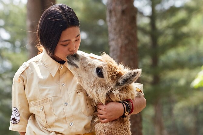 Alpaca World & Nami Island & Garden of Morning Calm One Day Tour - Three countryside sights from a single Seoul departure
