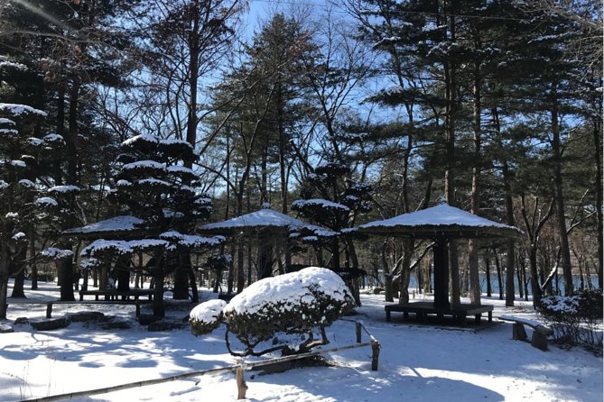 Alpaca World & Nami Island & Garden of Morning Calm One Day Tour - Garden of Morning Calm: the quietest two hours