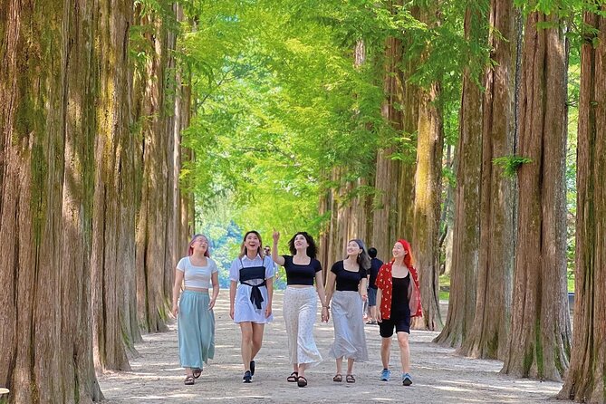 Alpaca World & Nami Island & Garden of Morning Calm One Day Tour - Lunch, walking, and what to pack