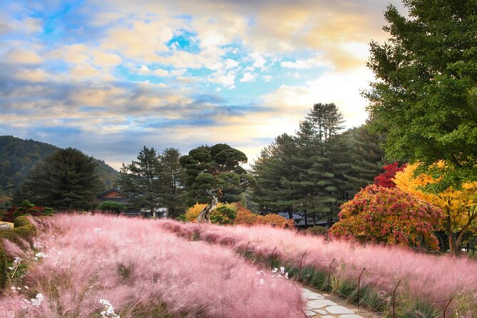 Alpaca World Tour with Nami Island (optional Railbike or Garden) - Gangchon Rail Park: fun, scenery, and a fixed appointment