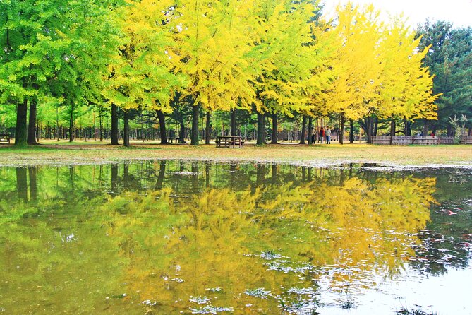 Alpaca World Tour with Nami Island (optional Railbike or Garden) - Transportation and the real cost of a 12-hour day