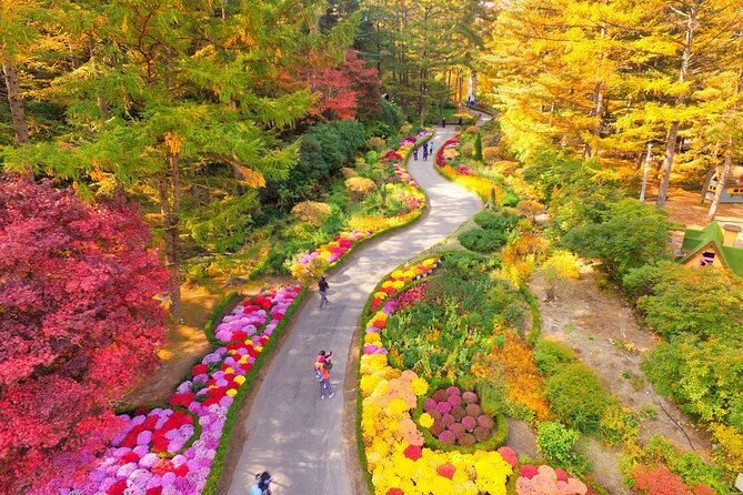 Alpaca World Tour with Nami Island (optional Railbike or Garden) - Guides can make or break the day