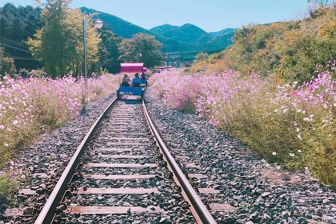 Alpaca World with Gangchon Rail Park One Day Tour - Clothing and safety details that matter