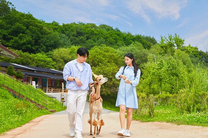 Alpaca World with Gangchon Rail Park One Day Tour - Starting at Hongik Univ. Station
