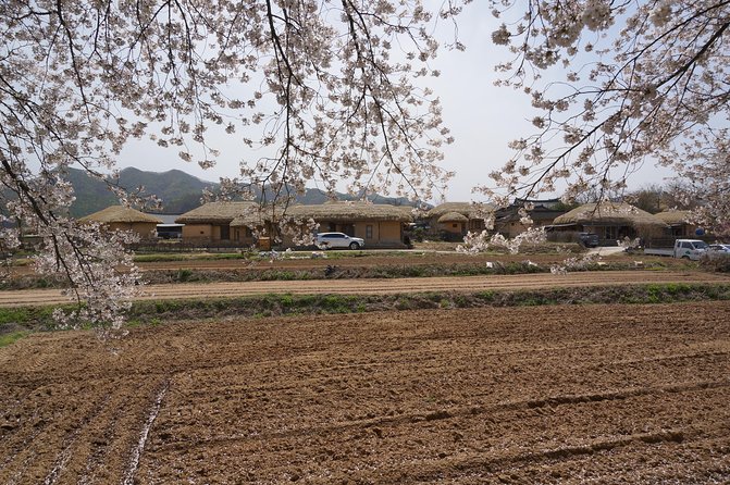 Andong Hahoe Folk Village [UNESCO World Heritage] Private Tour from Seoul - Hahoe Mask Museum and Korea’s performance tradition