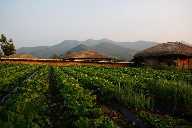 Andong Hahoe Village [UNESCO site] Premium Private Tour from Seoul - Lunch in Andong, with local food as a bonus
