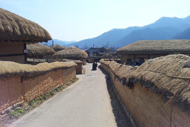 Andong Hahoe Village [UNESCO site] Premium Private Tour from Seoul - What the guide adds to the experience