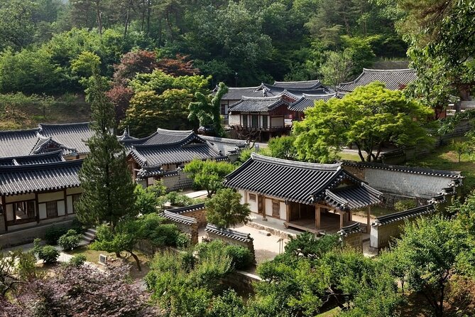 Andong Highlight & Private tour with a Licensed guide - Bongjeongsa Temple and Korea’s oldest wooden building