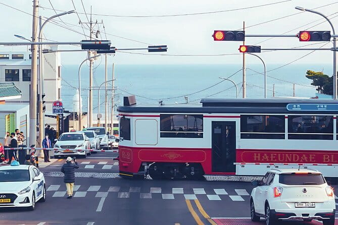 Authentic Busan Full-Day City Highlights Tour - Six smart reasons to consider this Busan day tour