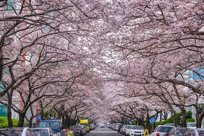 Authentic Busan Full-Day City Highlights Tour - Haeundae Blue Line Park: Two hours with an optional Sky Capsule