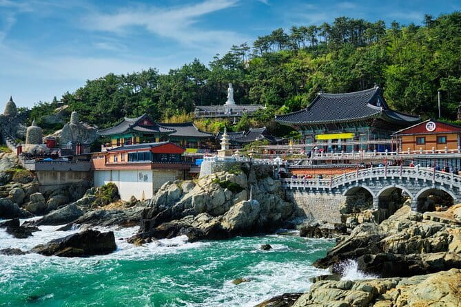Authentic Busan Full-Day City Highlights Tour - The UN Memorial Cemetery: A quiet pause in the itinerary