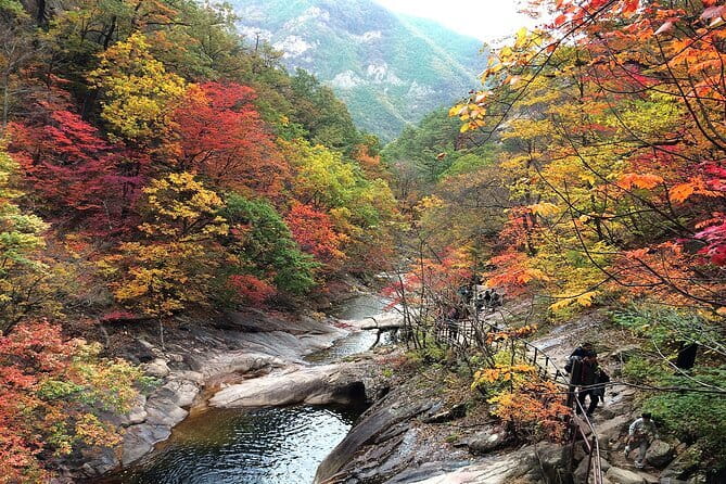 Autumn Foliage-Mt. Seorak, Sokcho Fish Market, Sokcho Beach - The early Seoul departure and long ride north