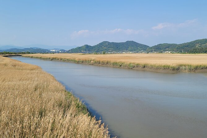 Boseong Tea Plantation & Suncheon National Garden[Train+Bus] - Suncheon Bay National Garden: A Planned Garden With Room to Roam