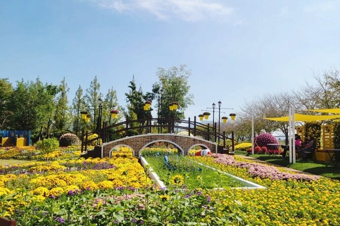Boseong Tea Plantation & Suncheon National Garden[Train+Bus] - What the $300 Price Includes