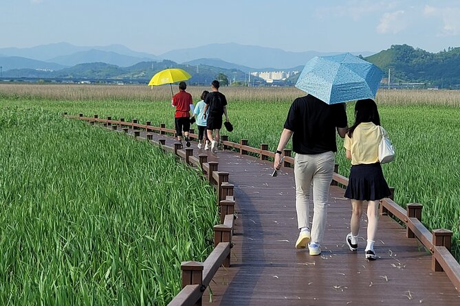 Boseong Tea Plantation & Suncheon National Garden[Train+Bus] - The Small Group Advantage, and Its Limits