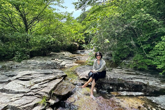 Boseong Tour : Green Tea Field, Mountain & Lake Trail (Private) - Why Boseong works as a day trip from Gwangju
