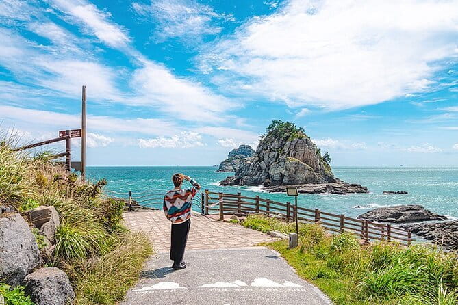 BTS Landmarks Private Car Tour in Busan with a Licensed Guide - Why this private Busan tour works for ARMY groups