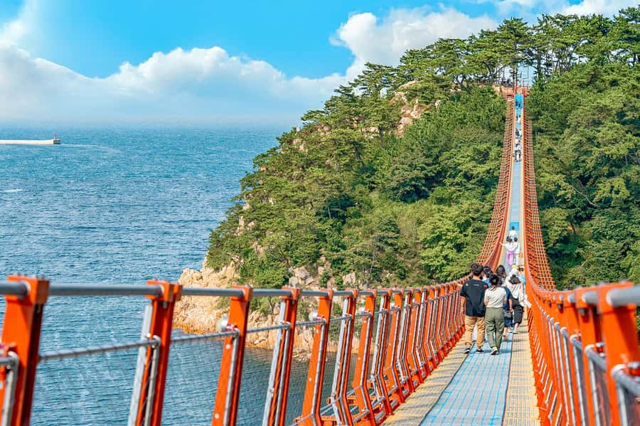 Busan: 7 Highlights Gyeongju City One Day Tour - The essential details at a glance